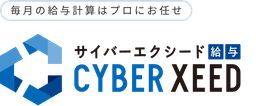 CYBER XEED 給与