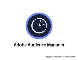 Adobe Audience Manager