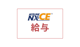 ACELINK NX-CE 給与